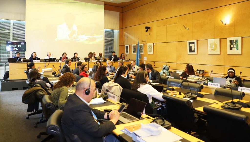 Professora da UFPA apresenta avanços nas políticas públicas de saúde do Brasil em reunião da ONU